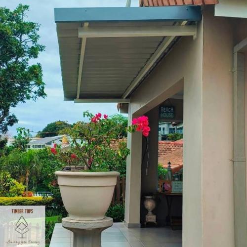 20240911_065411_0000